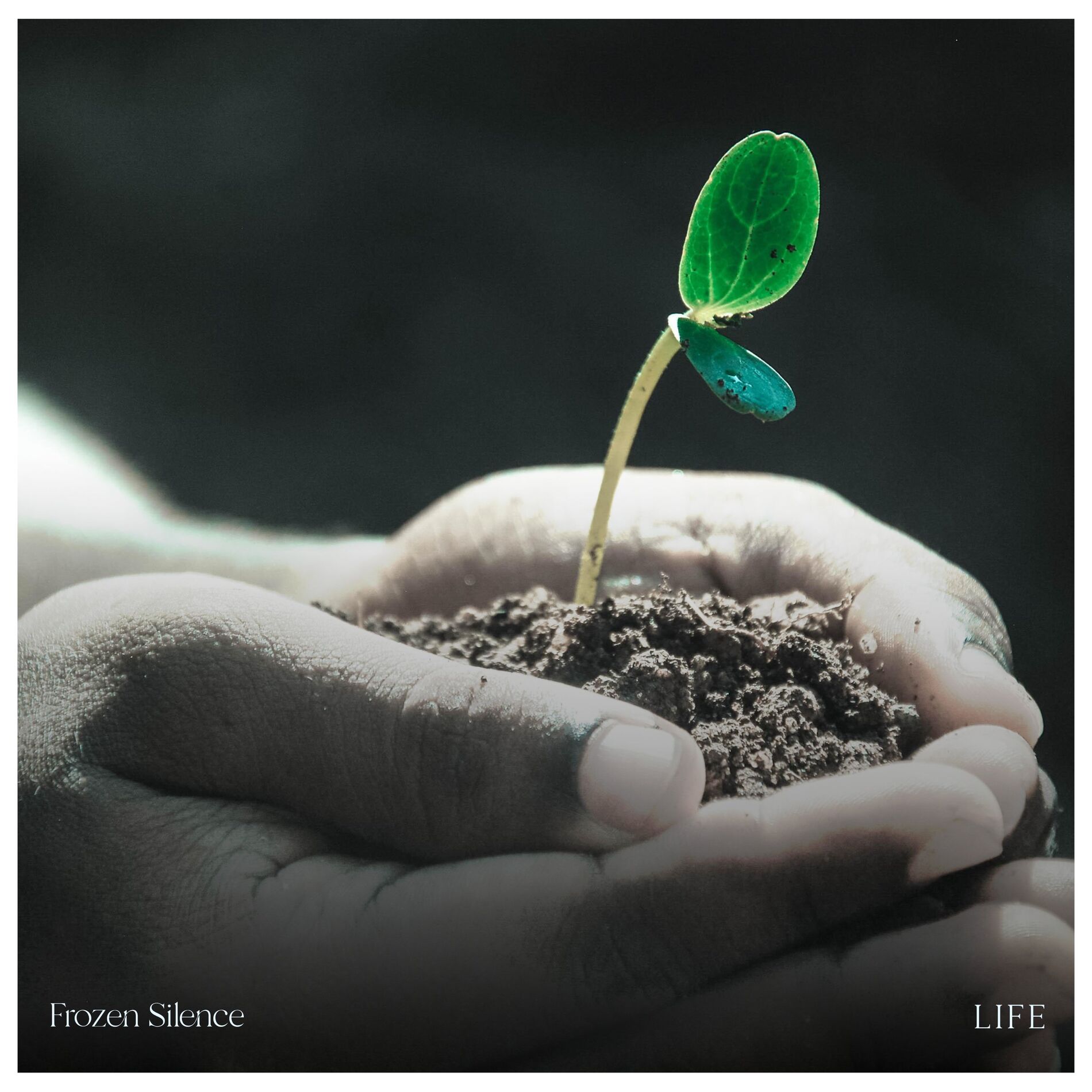 Album cover of Life