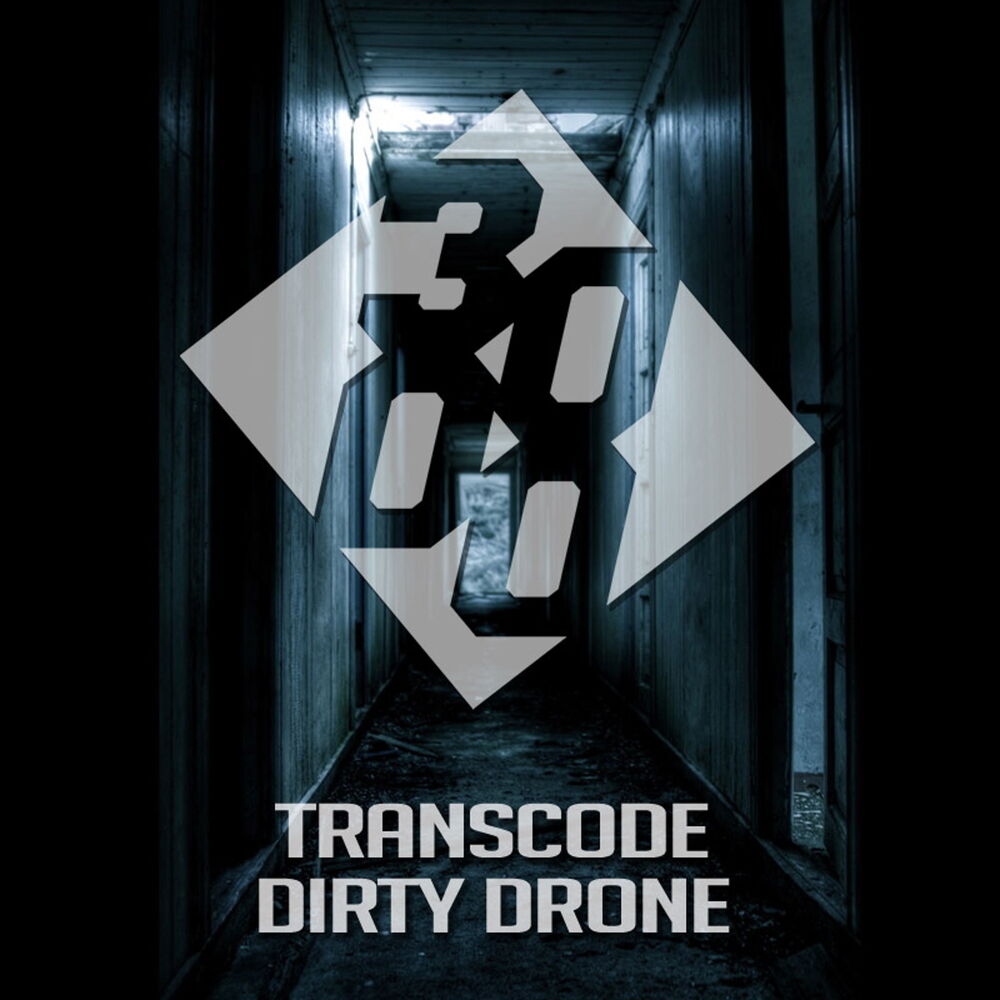 Picture of Dirty Drone