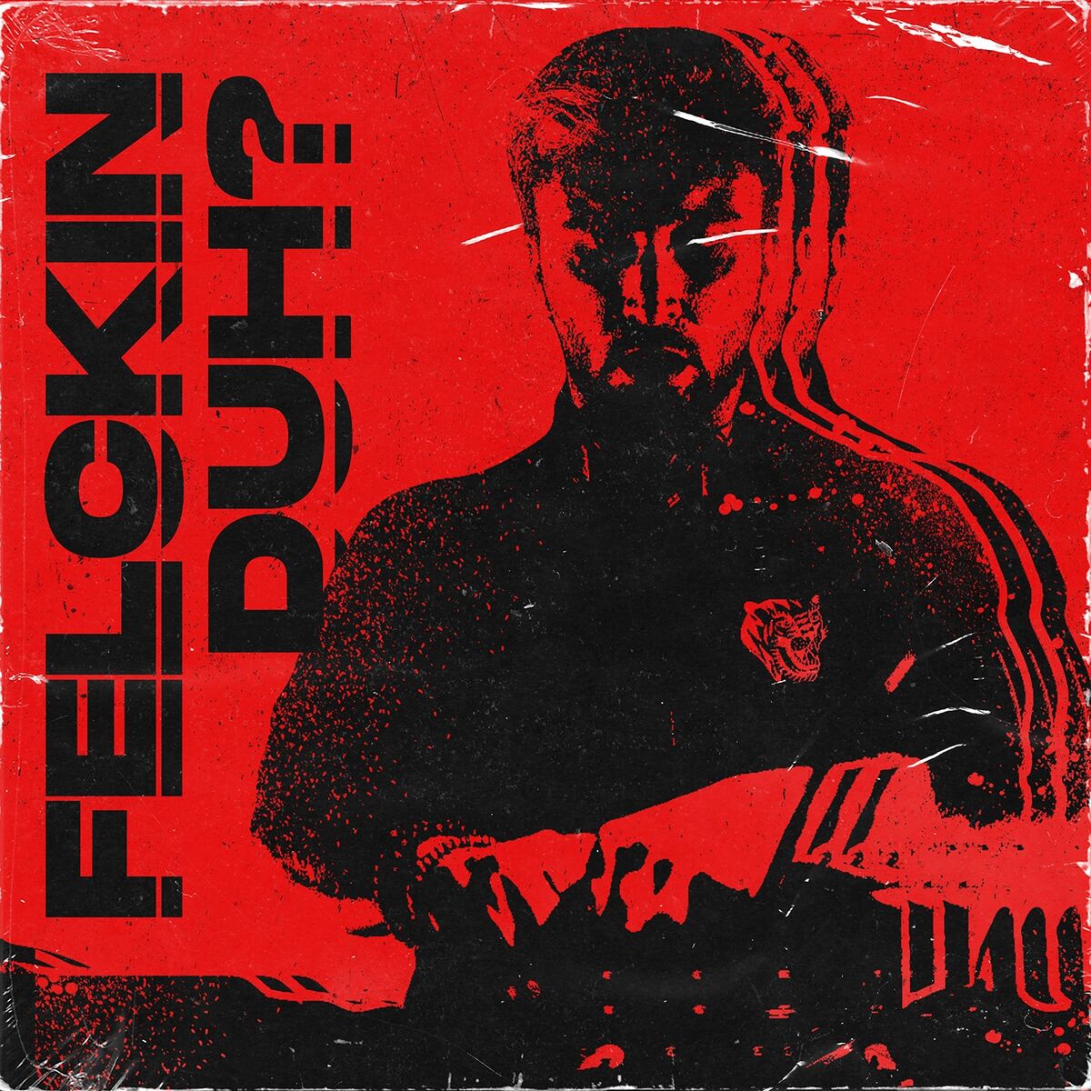 Album cover of Duh?