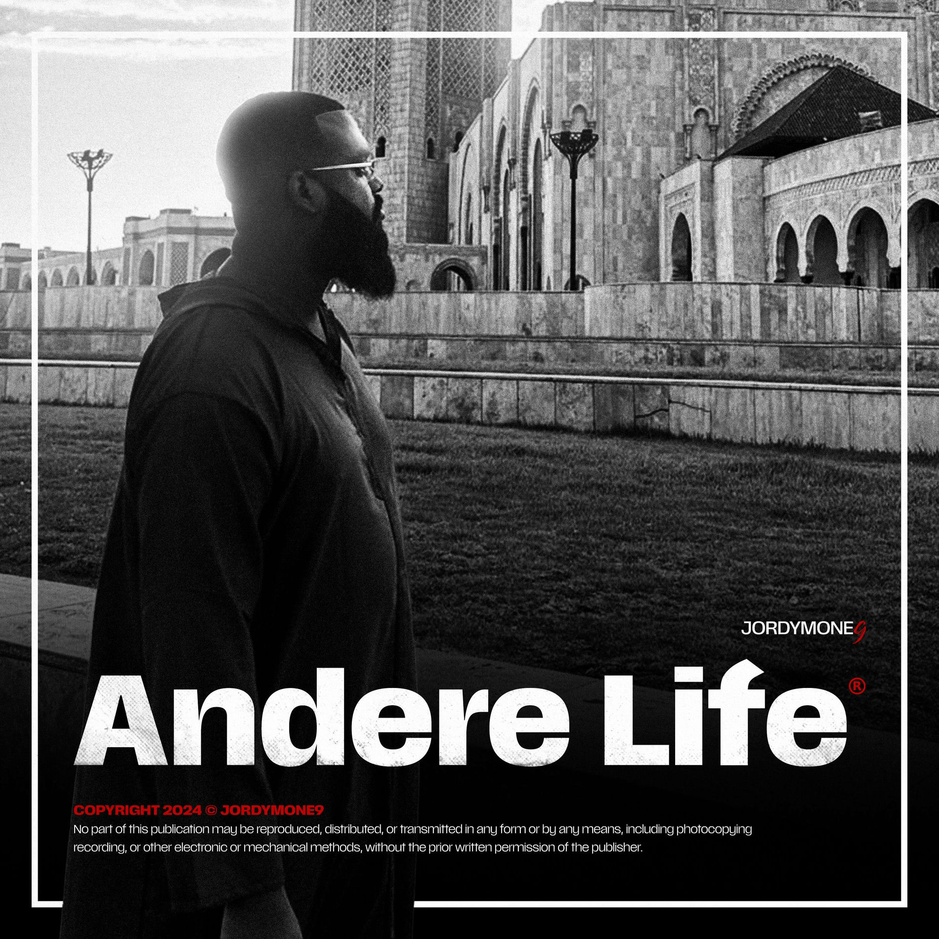 Album cover of Andere Life