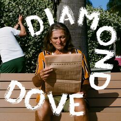 Cover of Diamond Dove