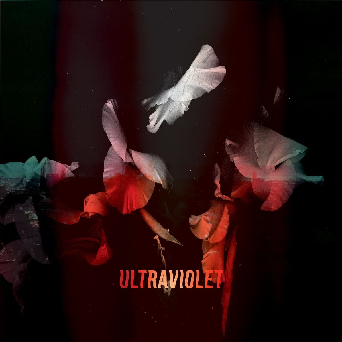 Album cover of Ultraviolet