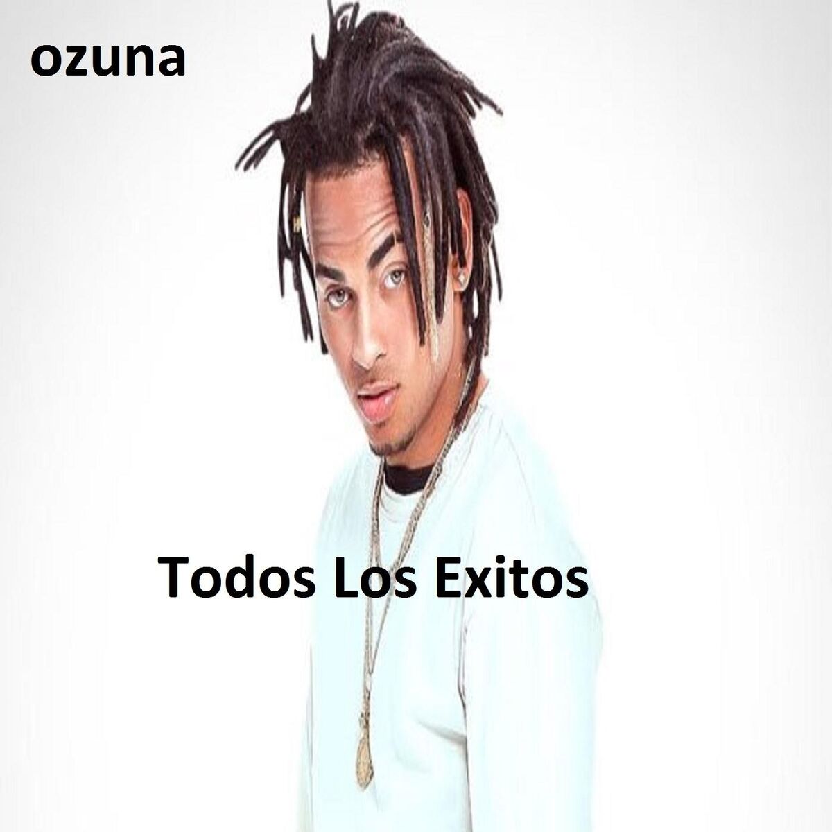 Album cover of Te Fuistes