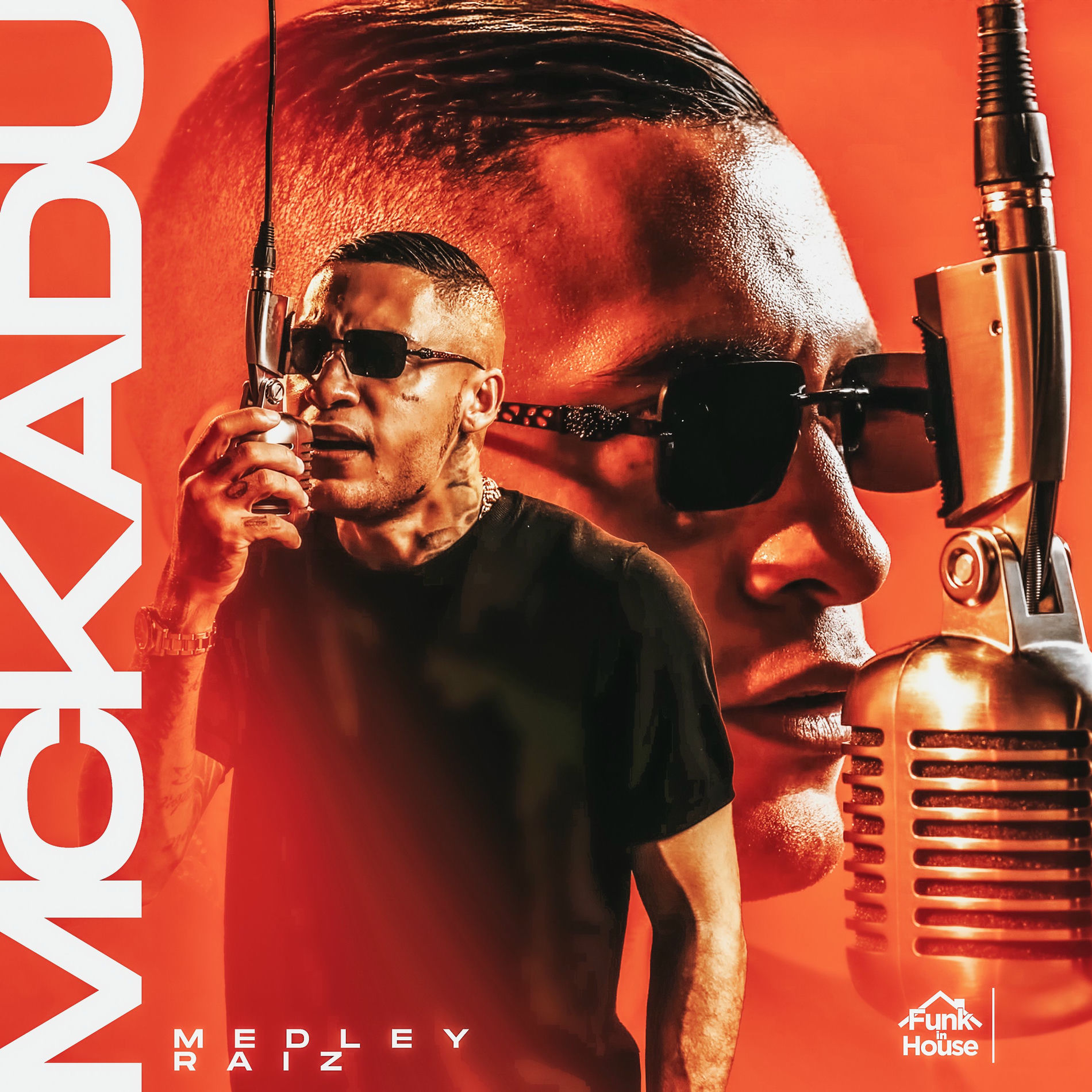 Album cover of Medley Raiz (Funk In House)