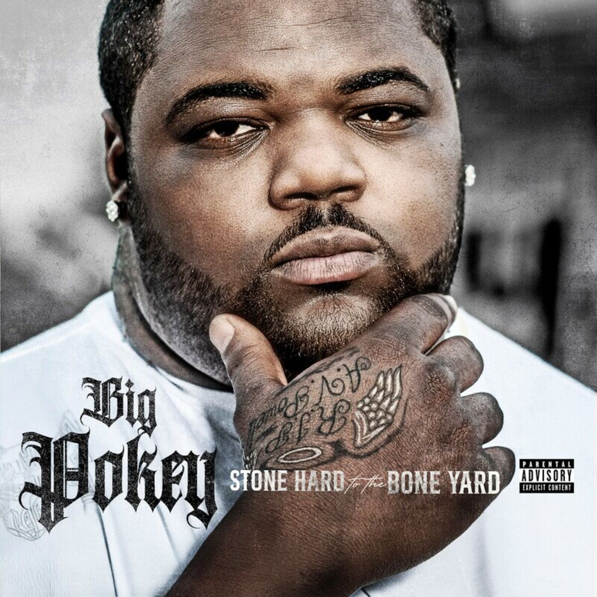 Album cover of Stone Hard to the Bone Yard