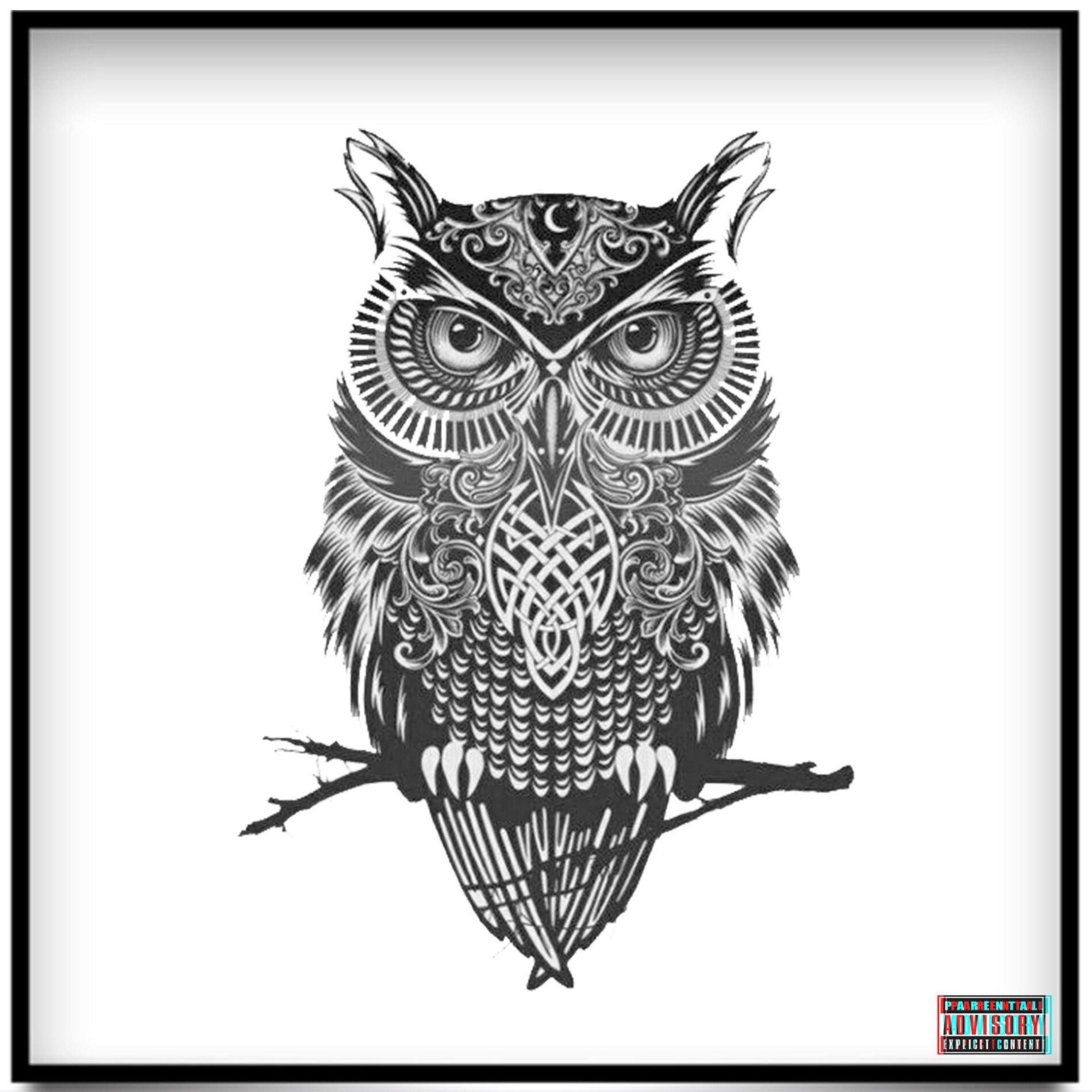 Album cover of Nocturnal III: Best Life