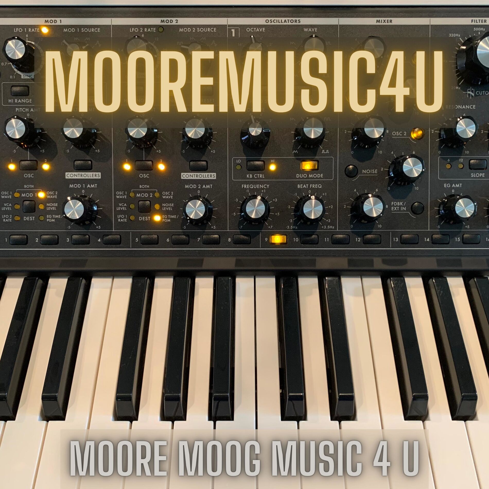 Album cover of Moore Moog Music 4 U
