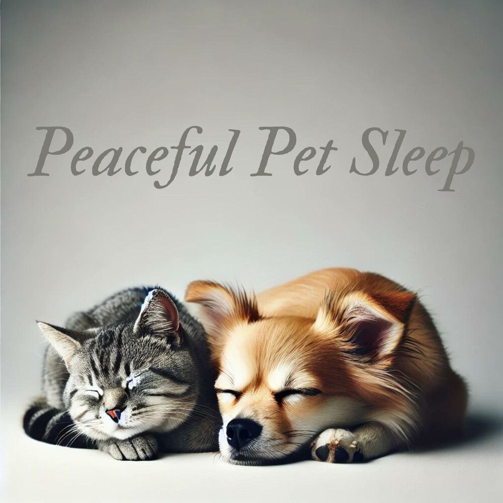 Picture of Peaceful Pet Sleep: Sleppy Doggy & Kitty - Soothing Sleep, Anxiety Relief, Pet Therapy