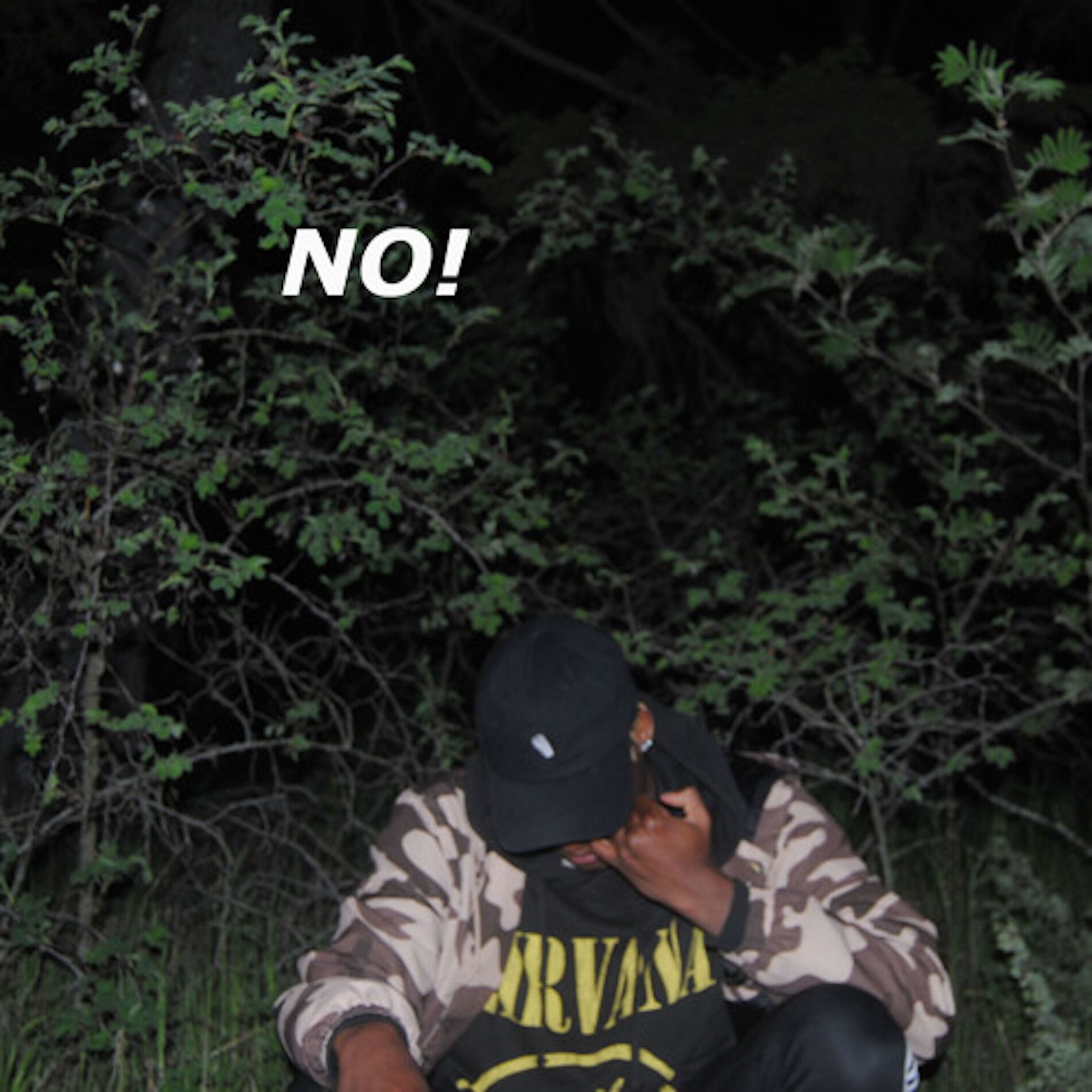 Album cover of NO NO NO