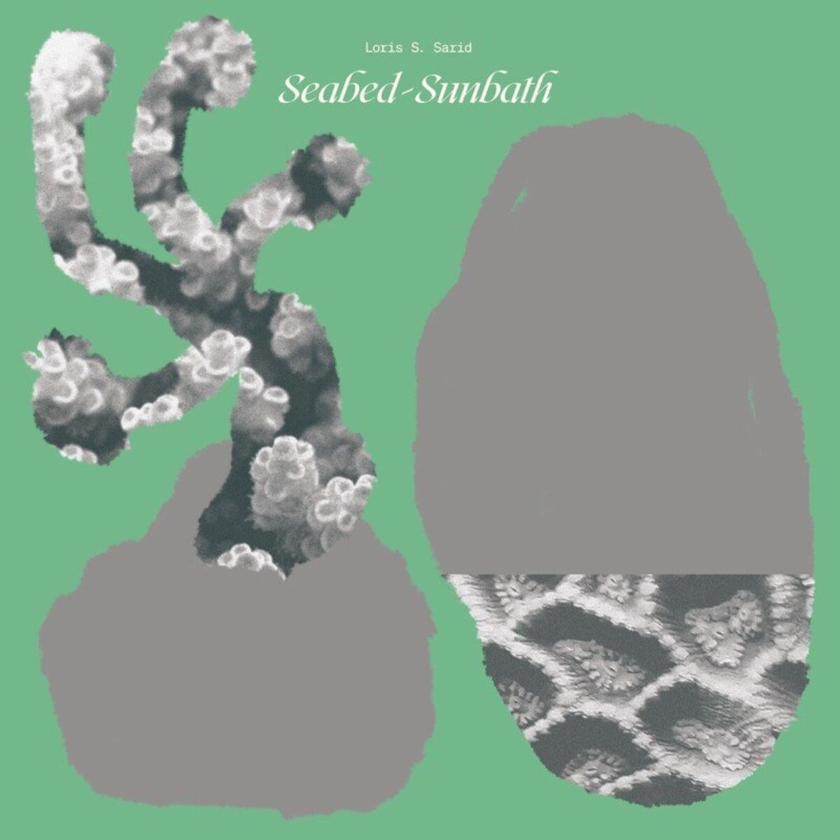 Album cover of Blue Dots
