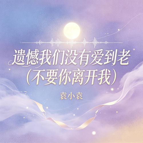 遗憾我们没有爱到老 (不要你离开我)