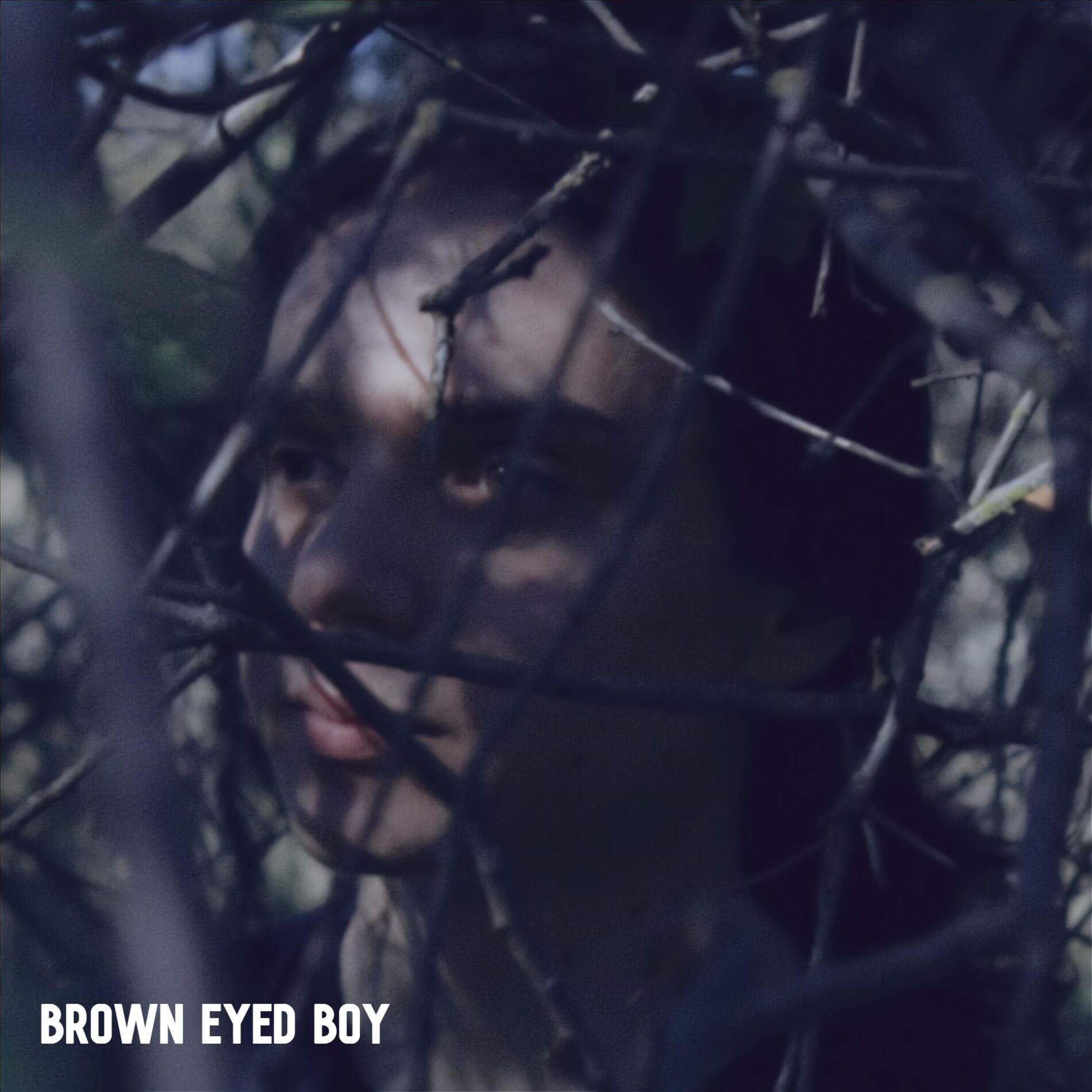 Album cover of brown eyed boy