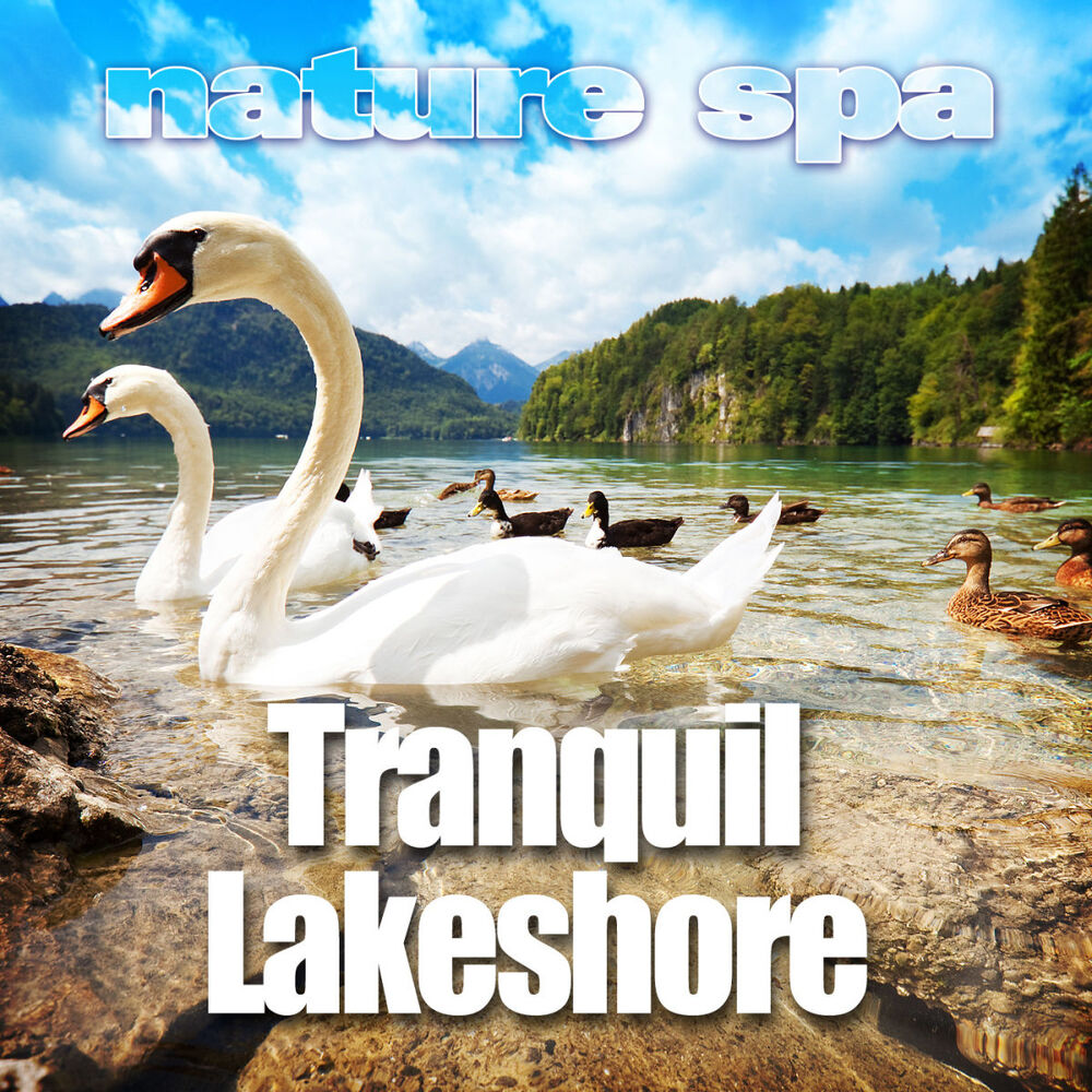 Picture of Tranquil Lakeshore