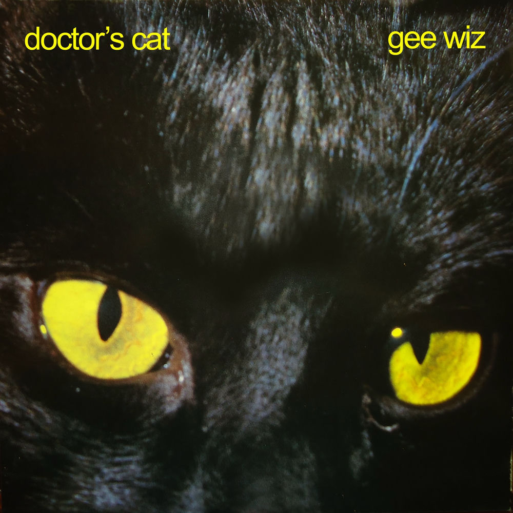 Picture of Gee Wiz