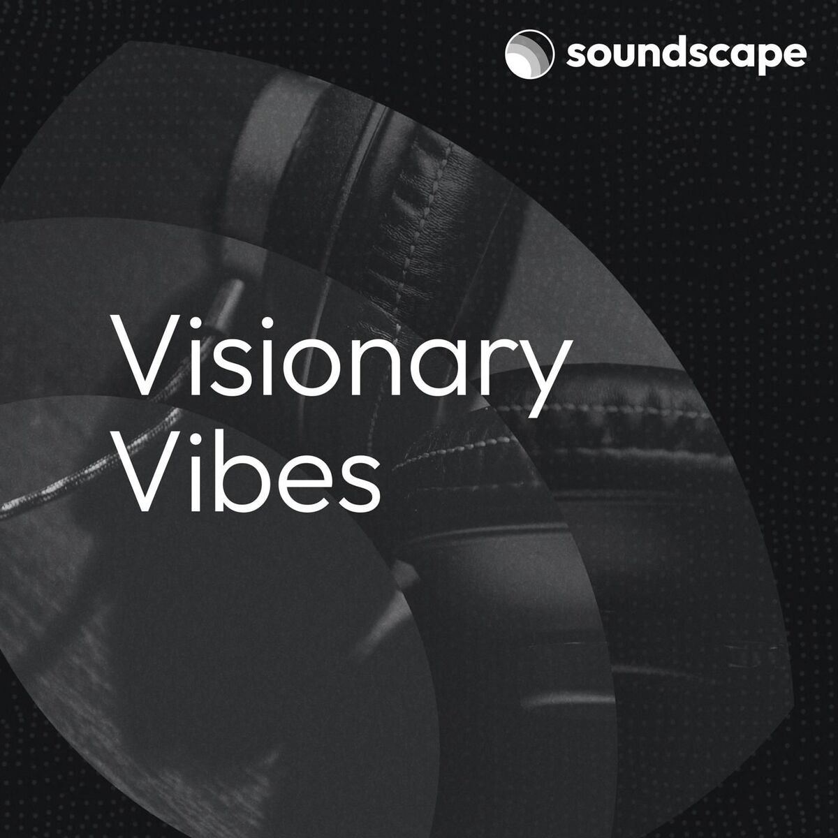 Album cover of Visionary Vibes