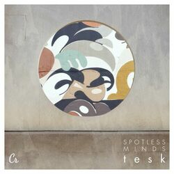 Cover of Spotless Minds