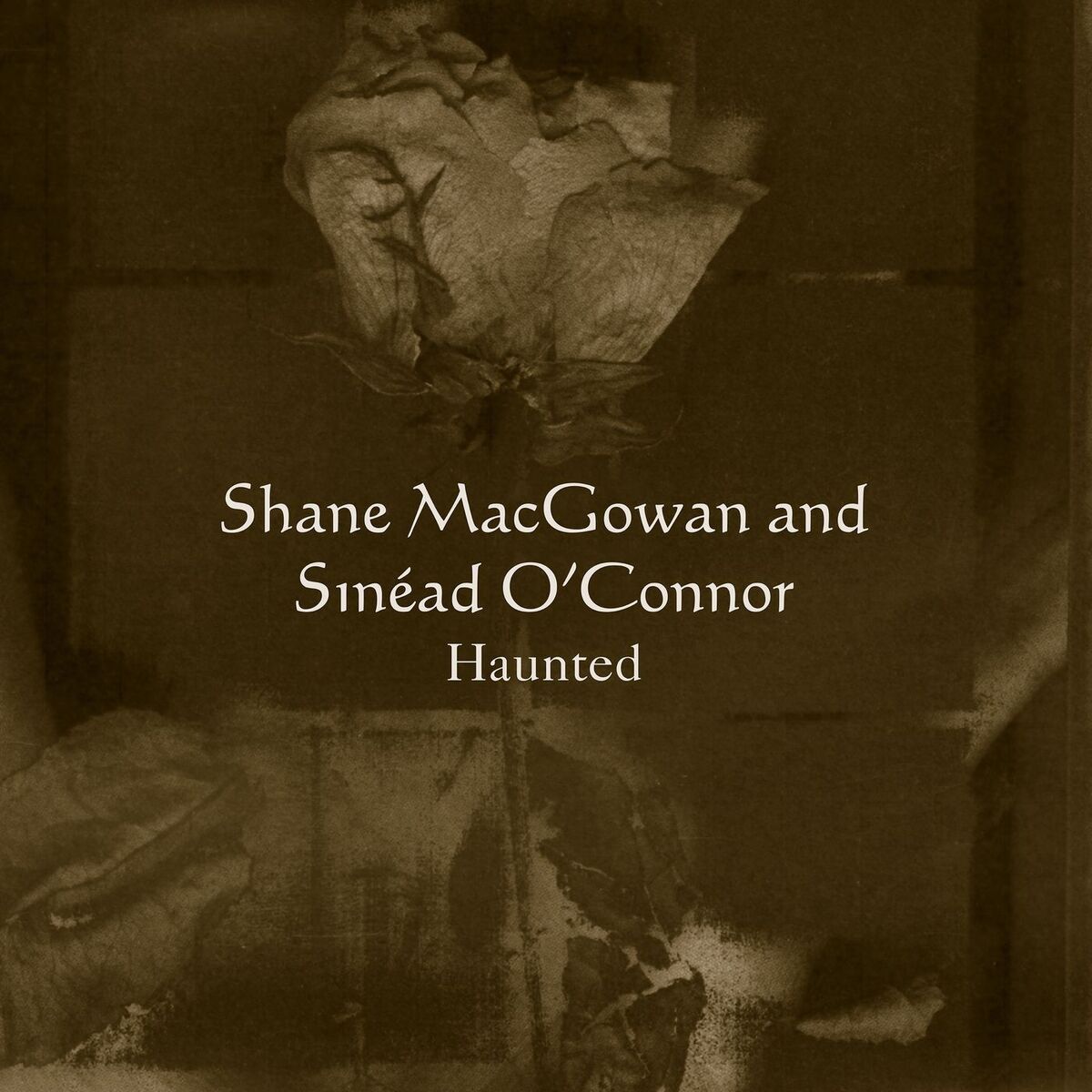 Album cover of Haunted