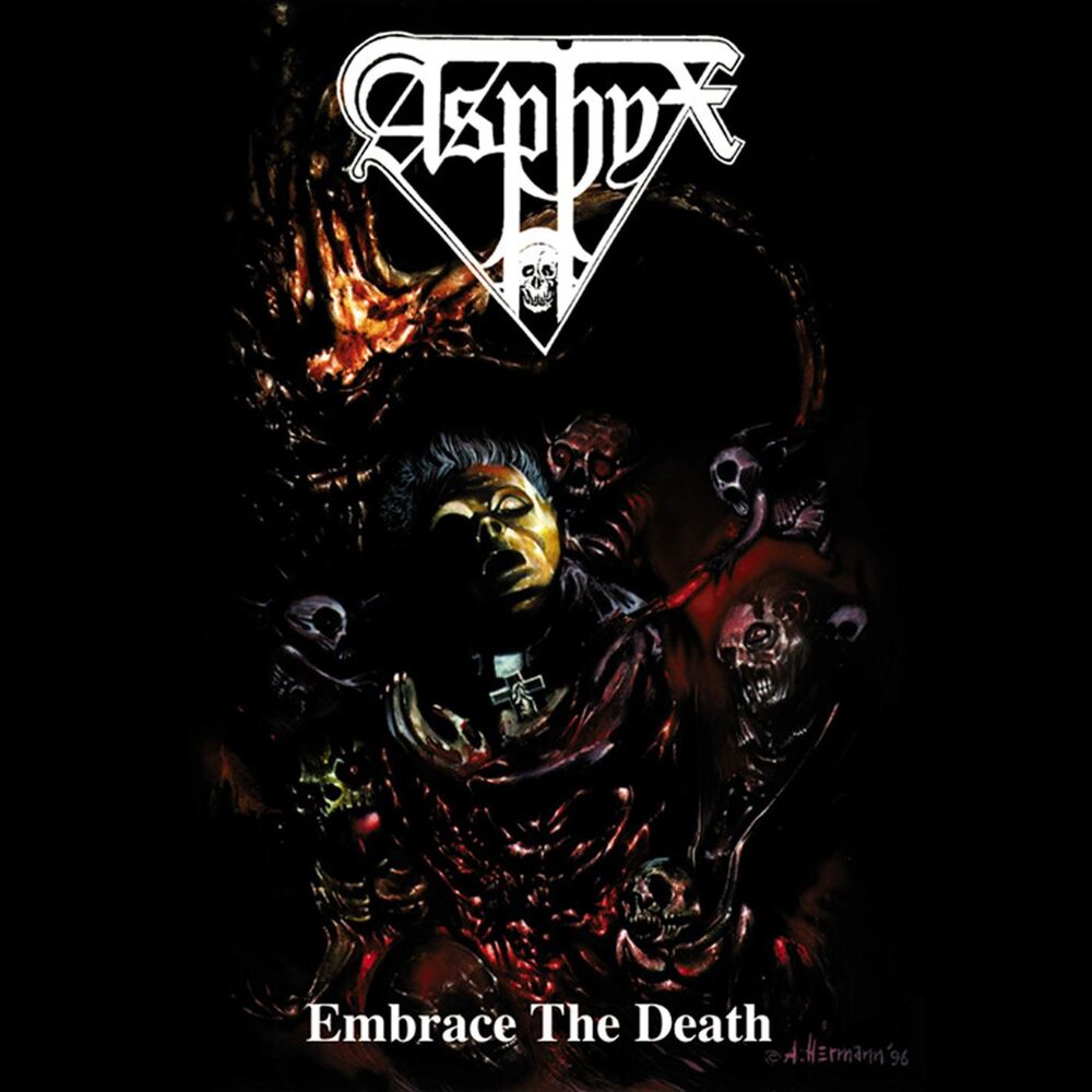 Picture of Embrace the Death