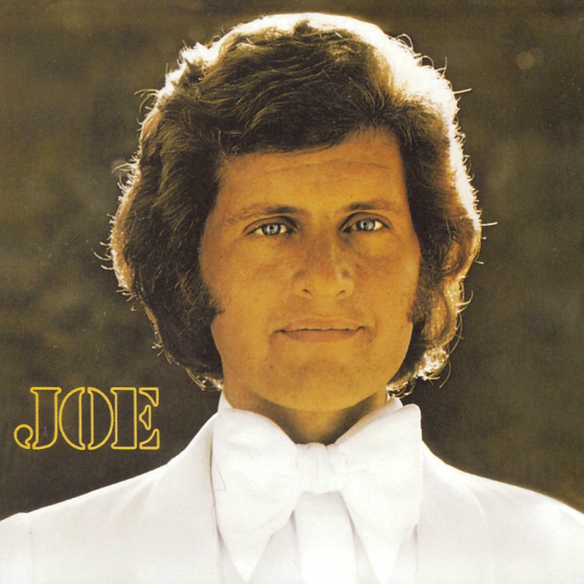 Album cover of Joe