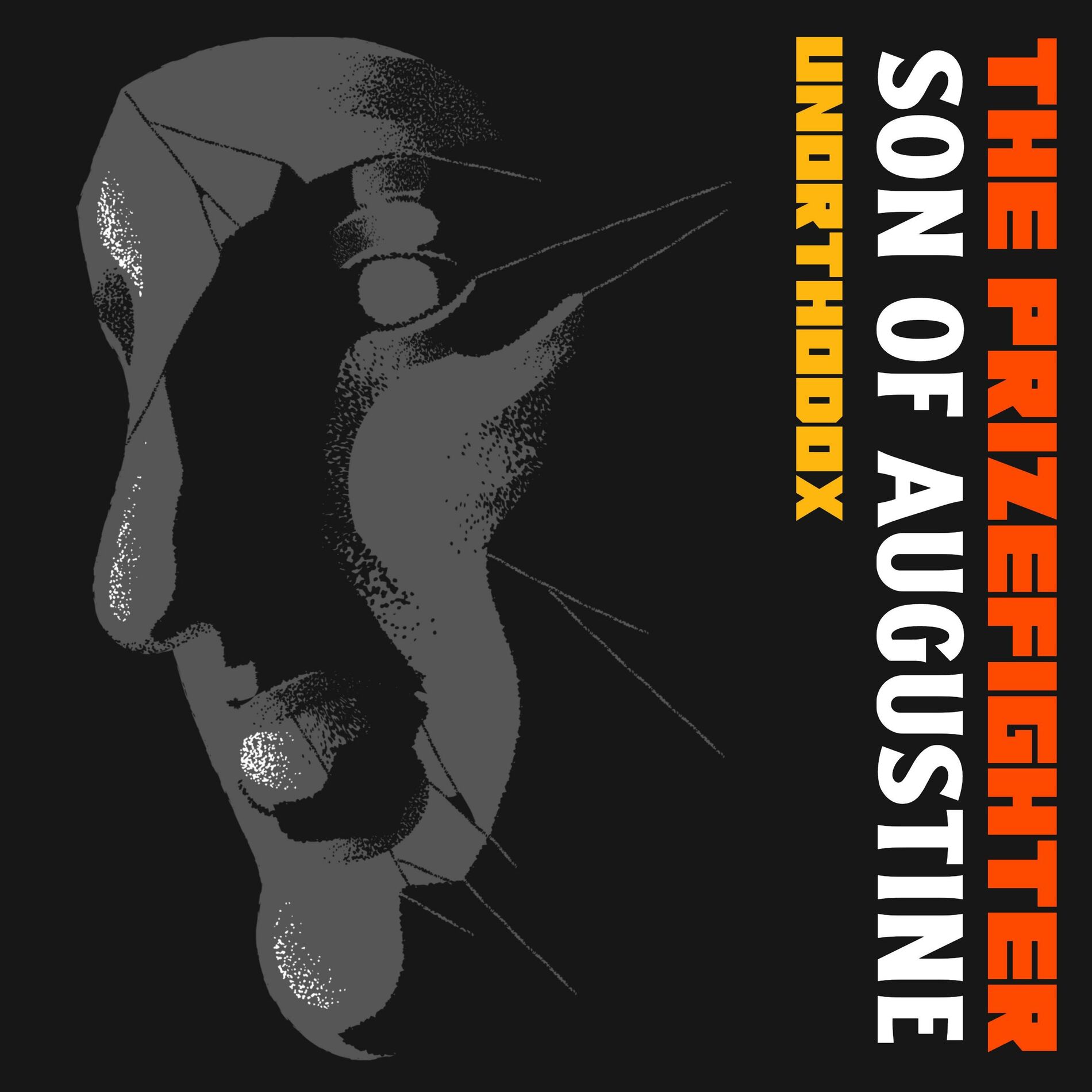 Album cover of Unorthodox