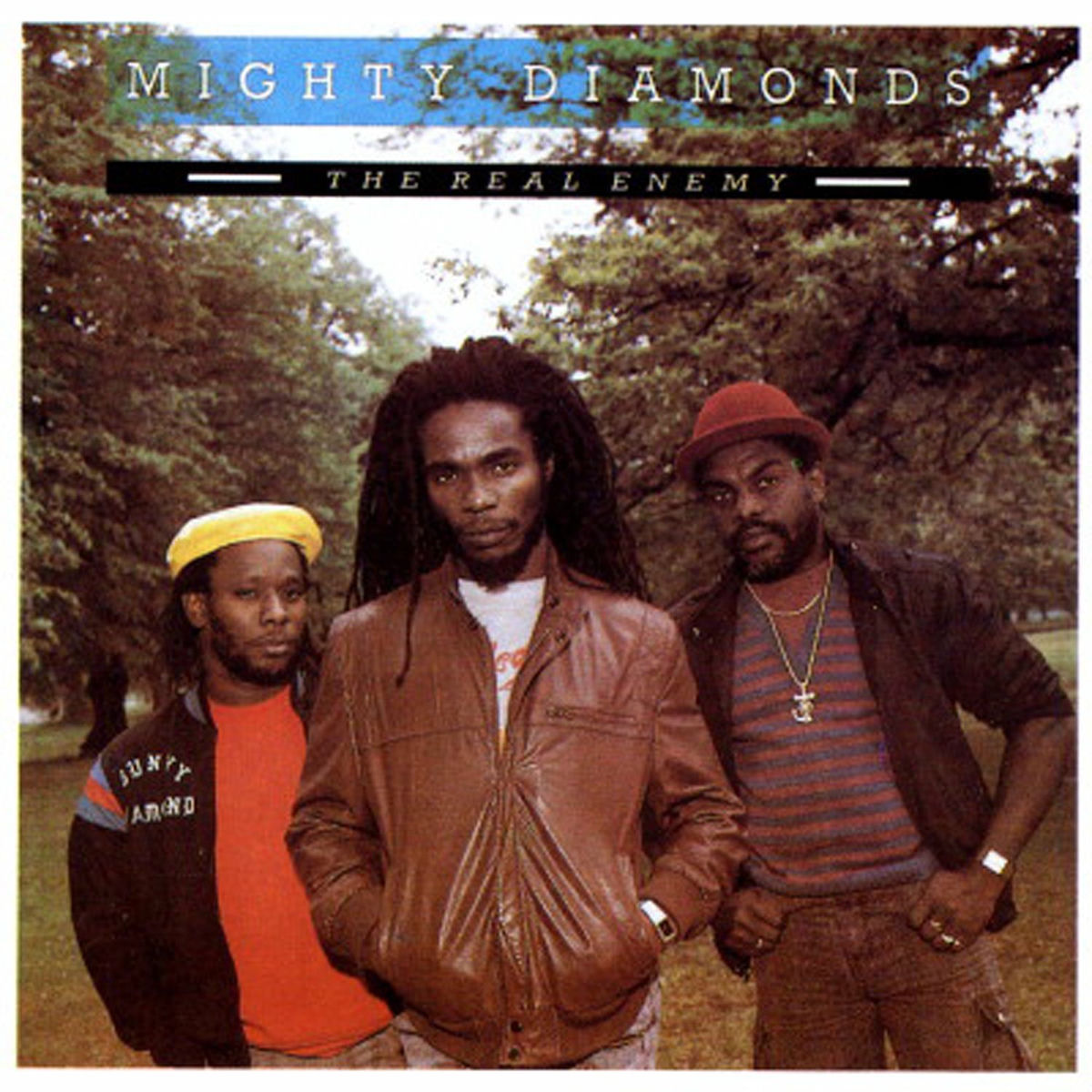 Album cover of The Real Enemy