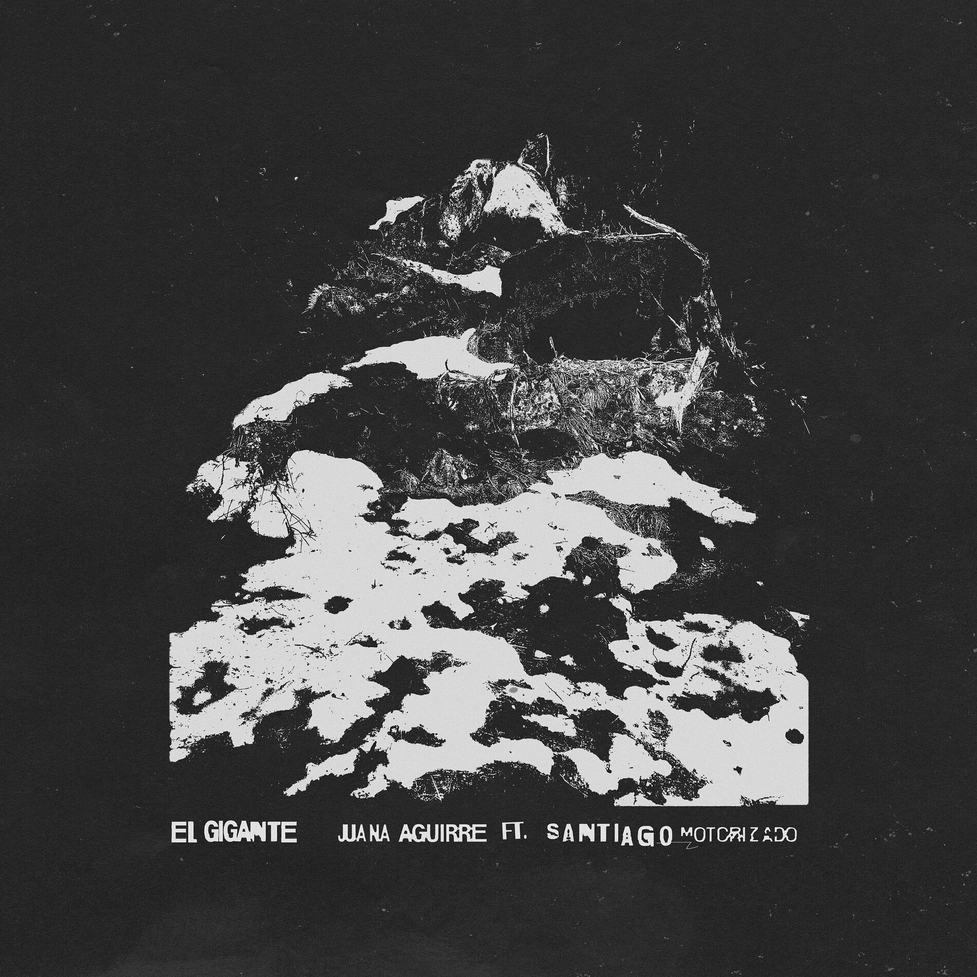 Album cover of El Gigante