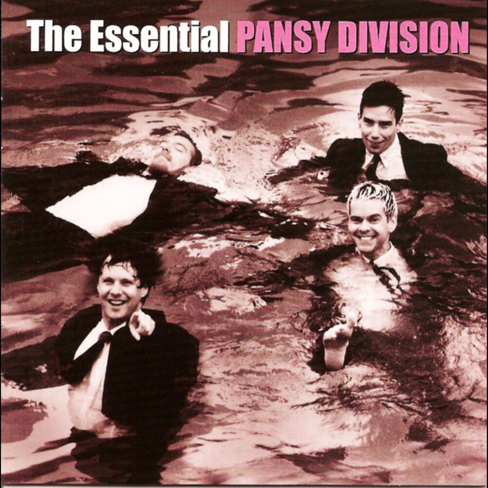 Picture of The Essential Pansy Division