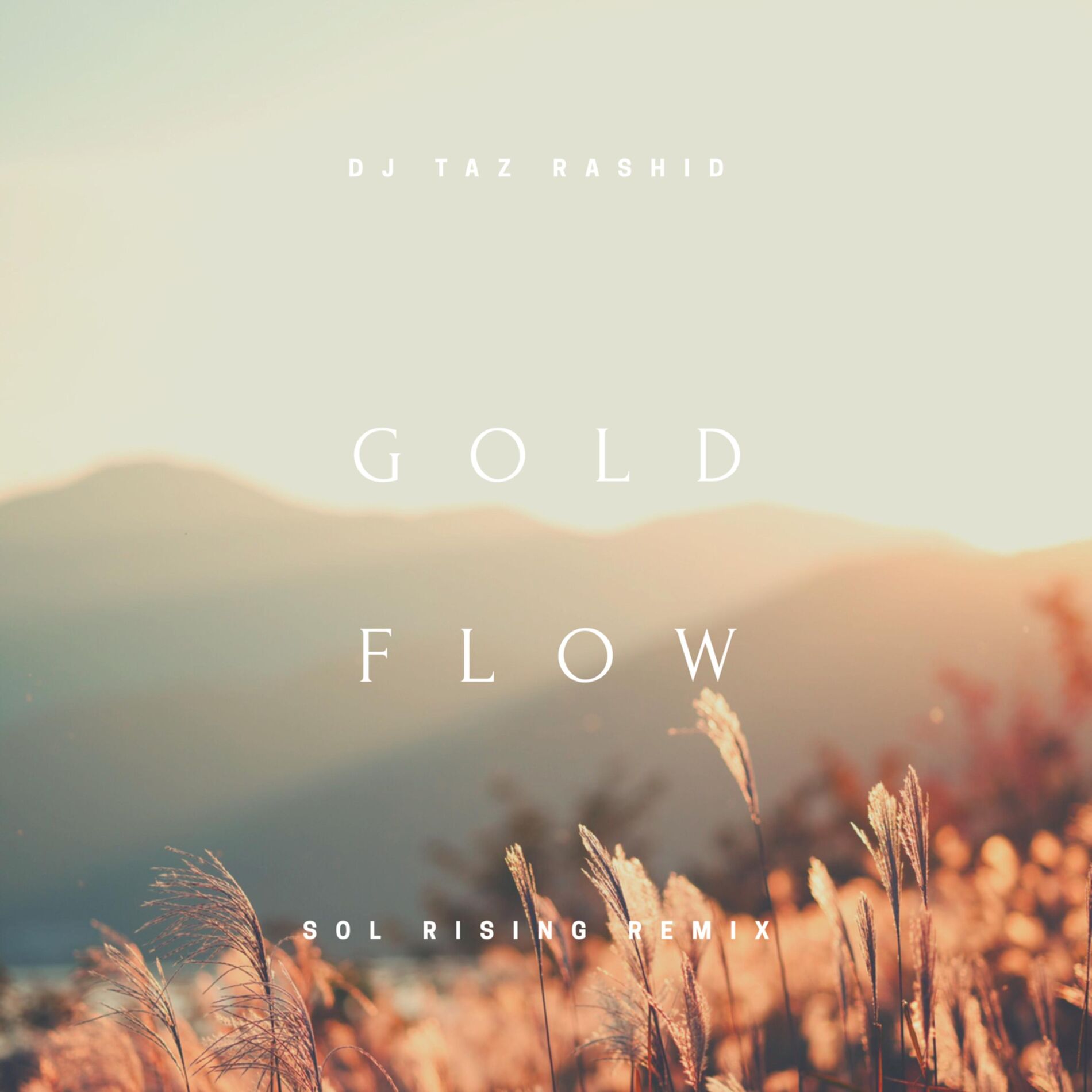 Album cover of Gold Flow (Sol Rising Remix)