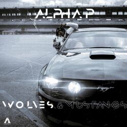 Cover of Wolves & Mustangs, Vol. 1