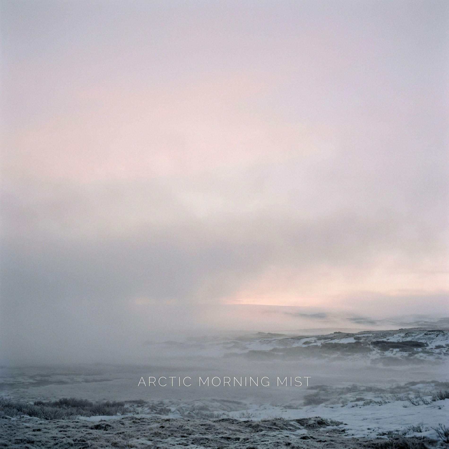 Album cover of Arctic Morning Mist