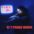 SI T PEGAS RMX (33miki)