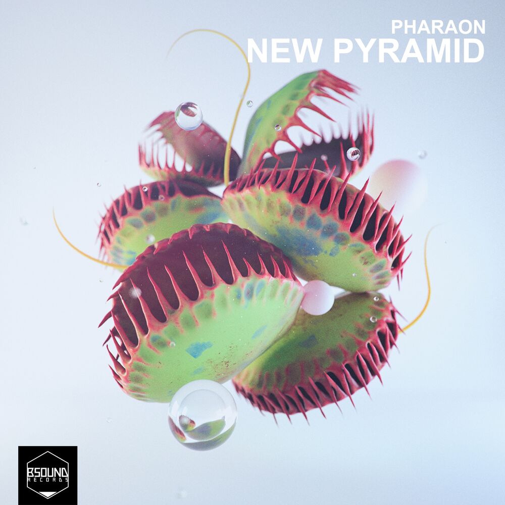Picture of New Pyramid