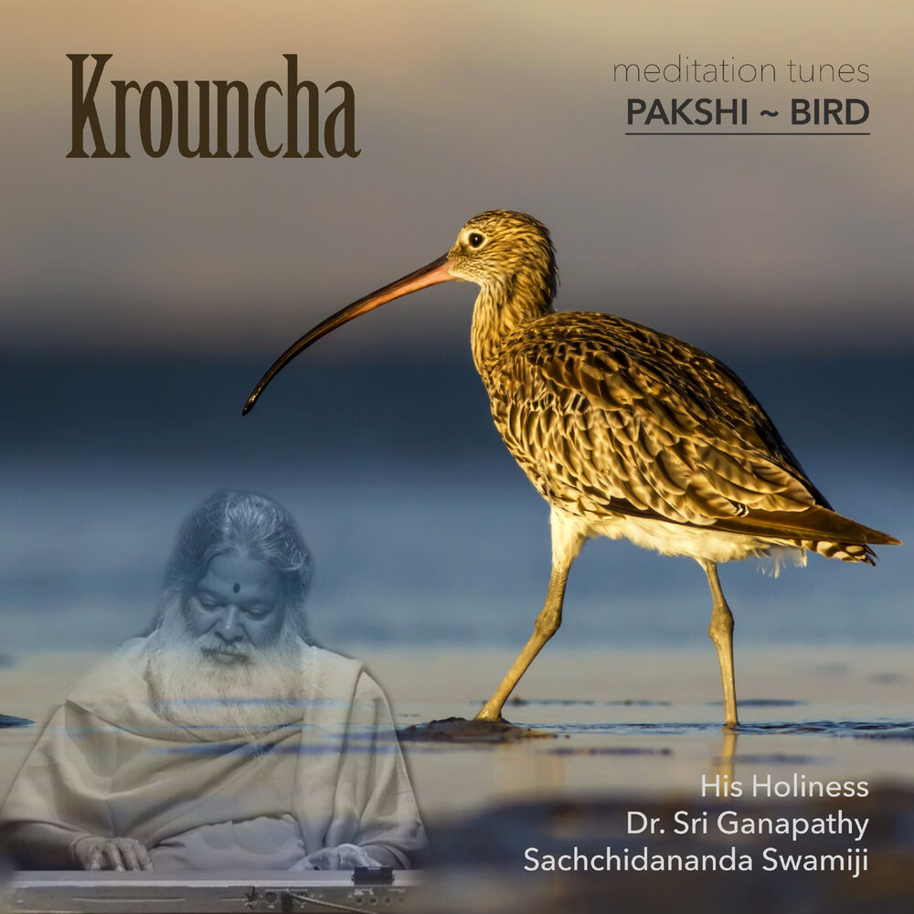 Picture of Meditation Tunes - Pakshi / Bird - Krouncha