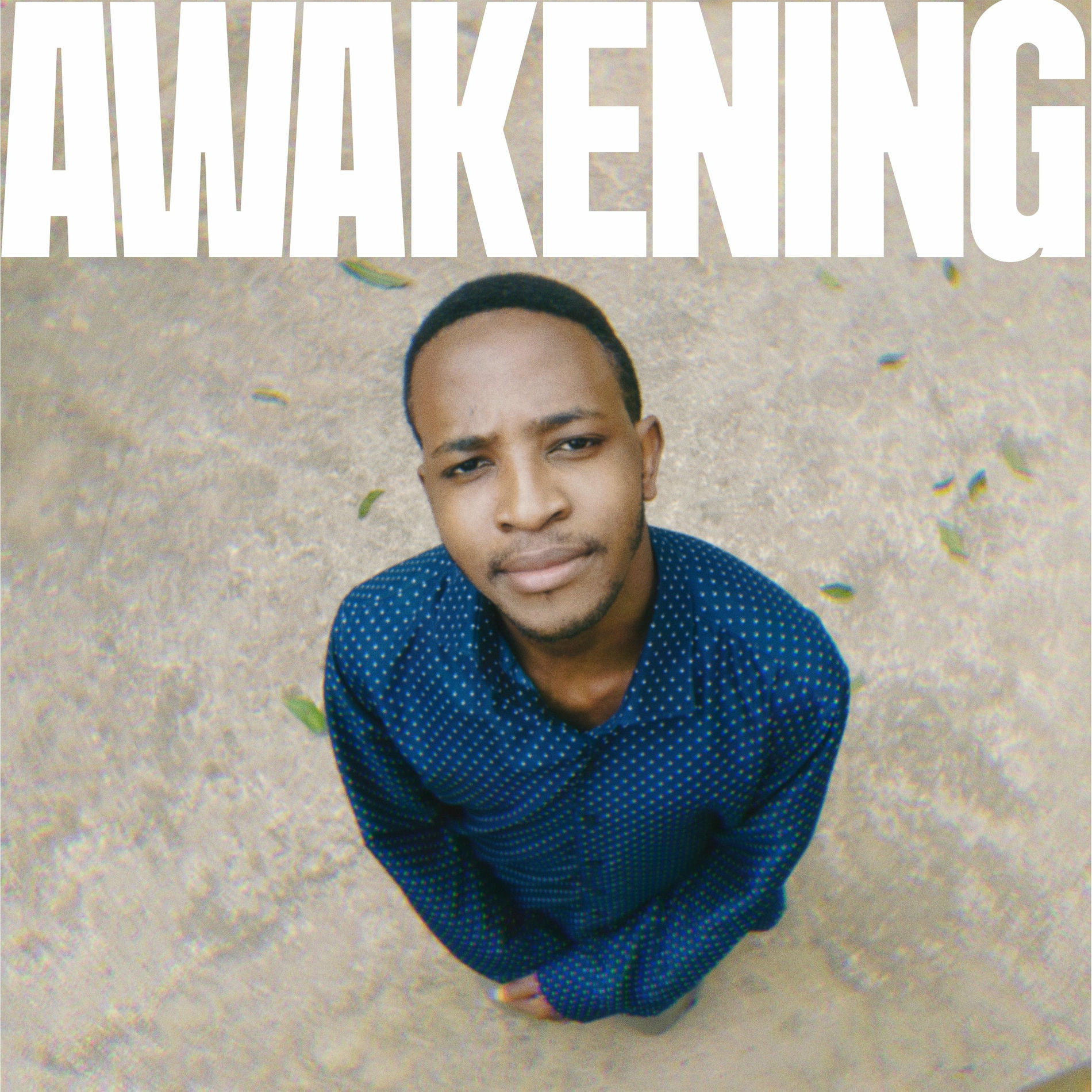 Album cover of awakening