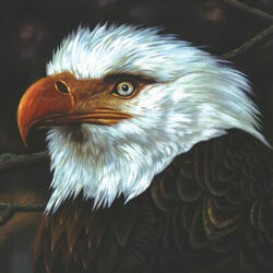 Cover of The Hawk Is Howling