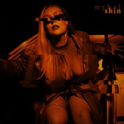 Cover of SKIN