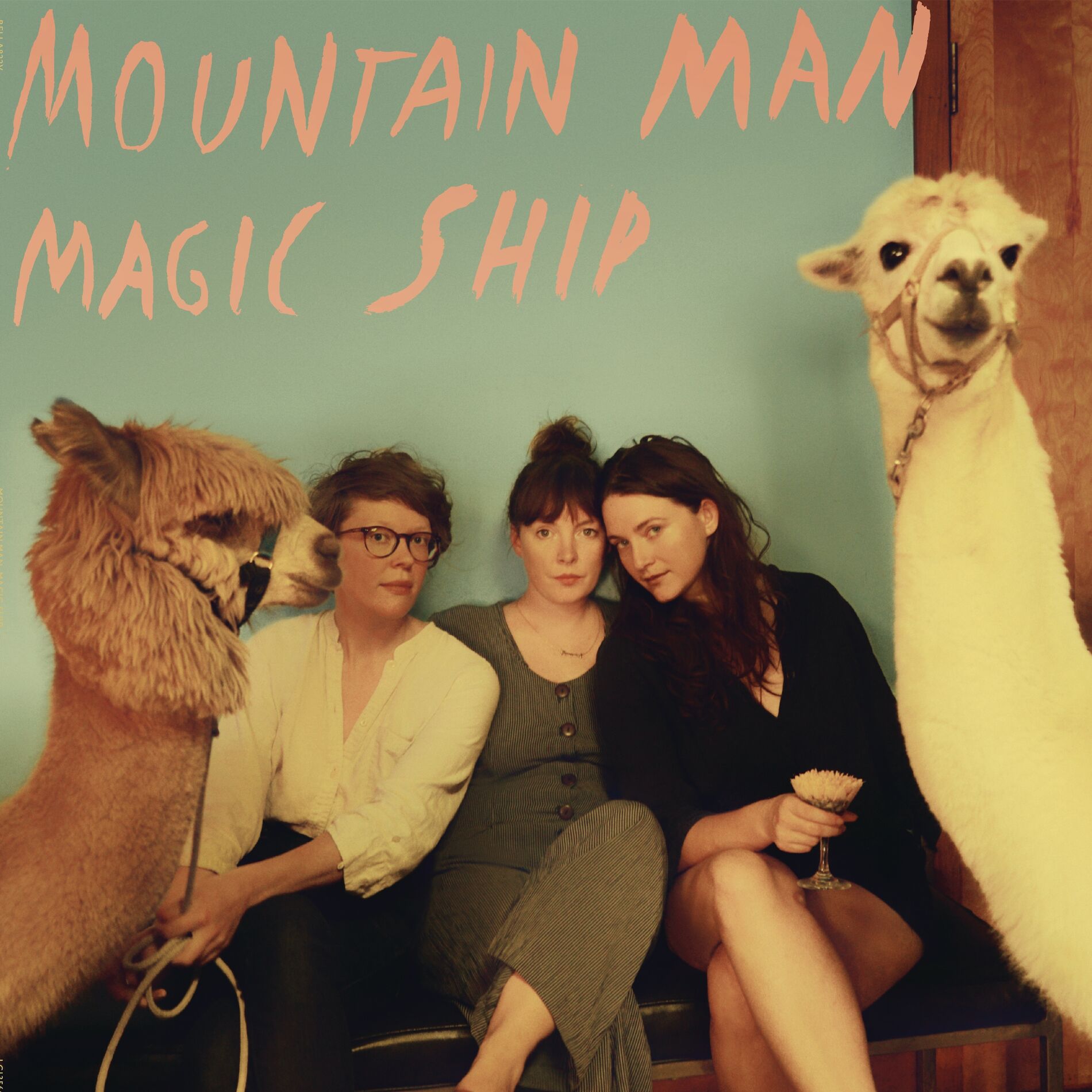 Album cover of Magic Ship