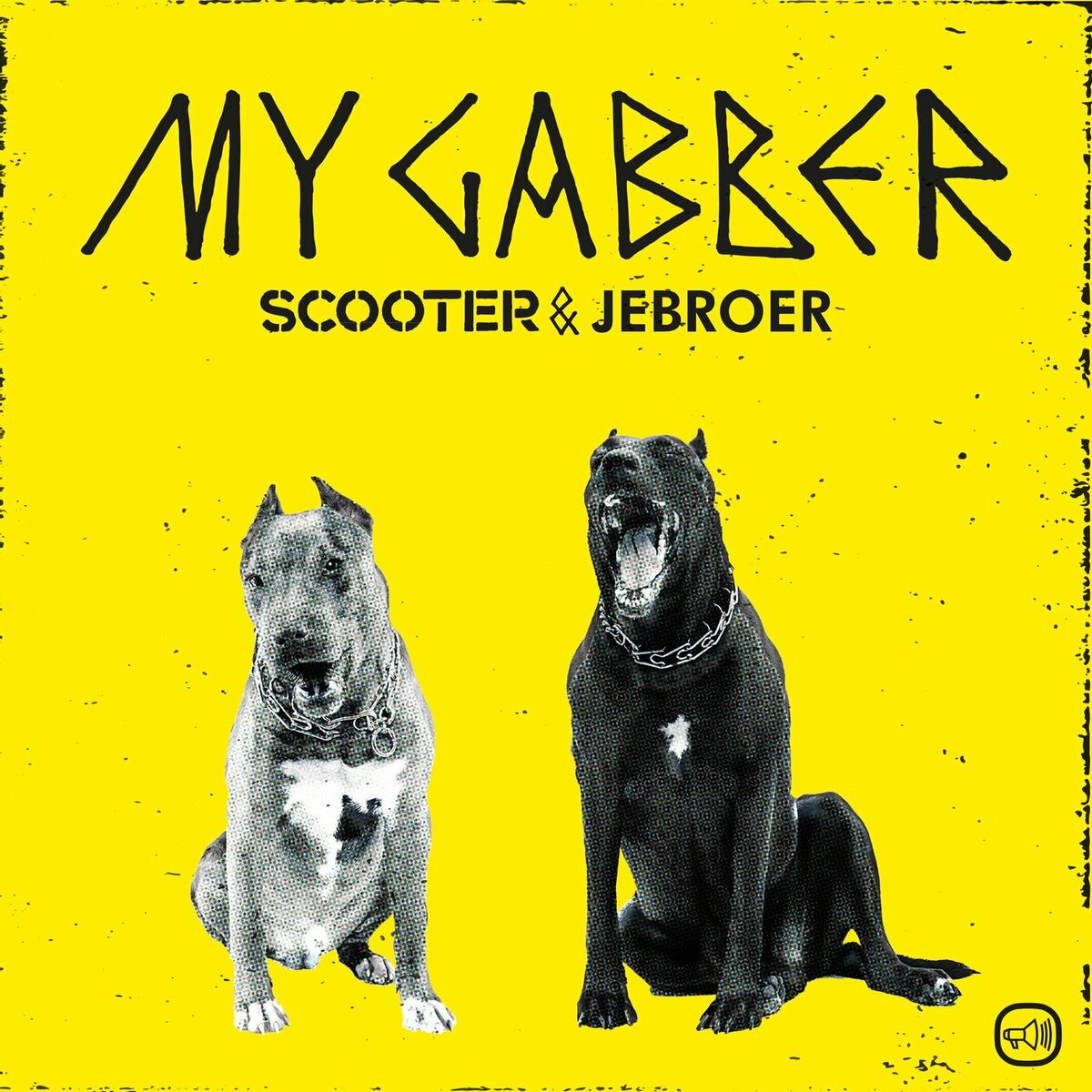 Album cover of My Gabber