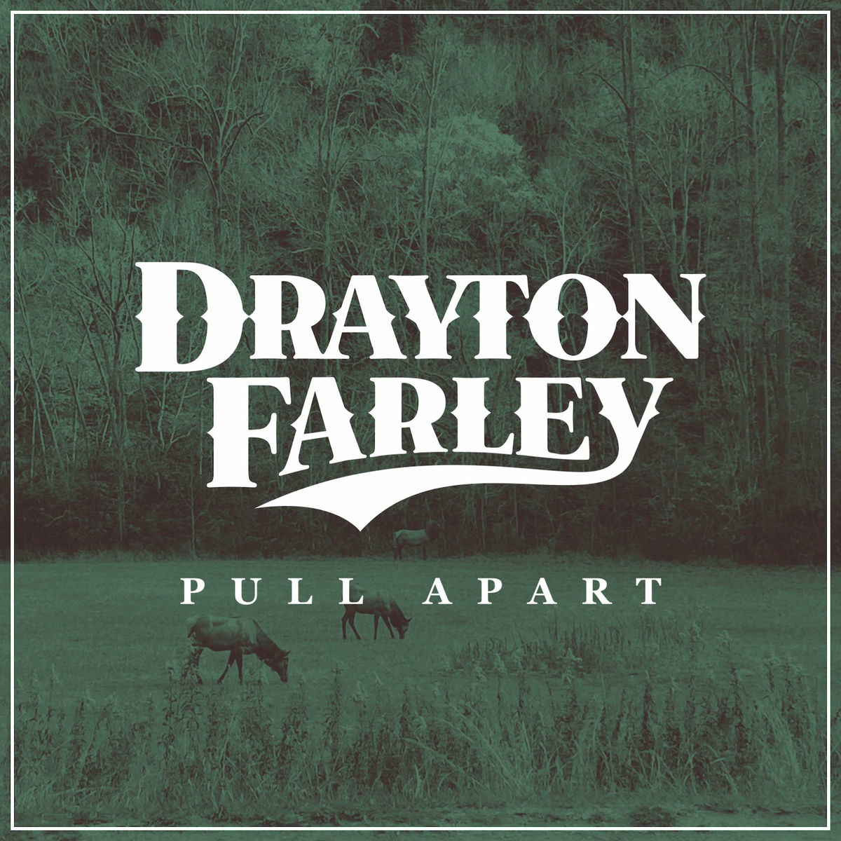 Album cover of Pull Apart