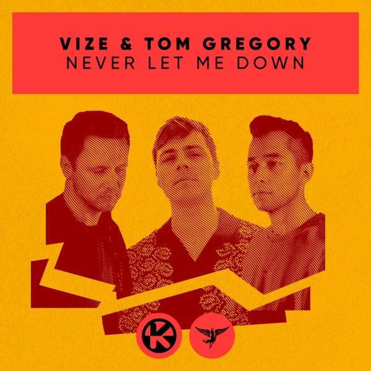 Album cover of Never Let Me Down