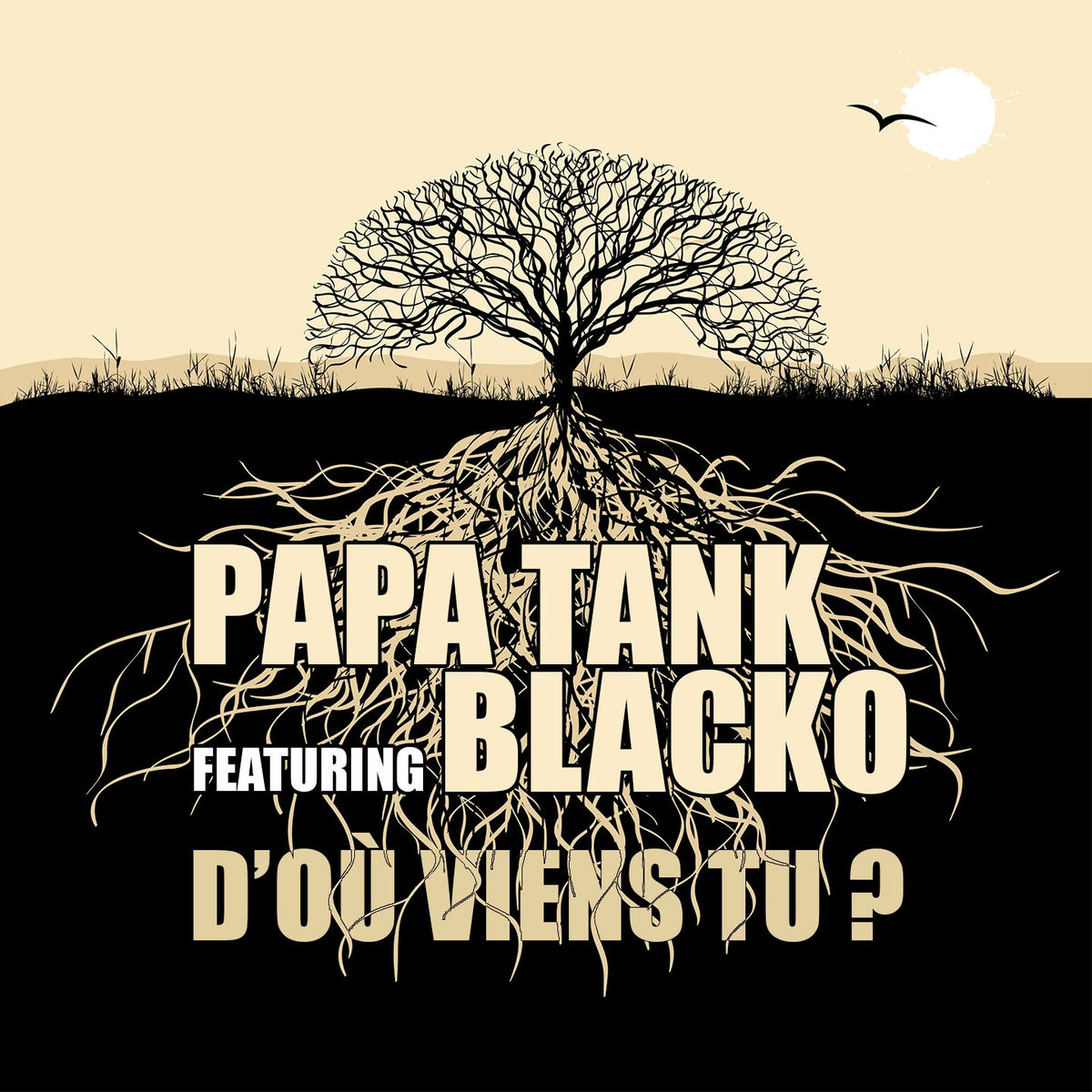 Album cover of D'où viens tu ?