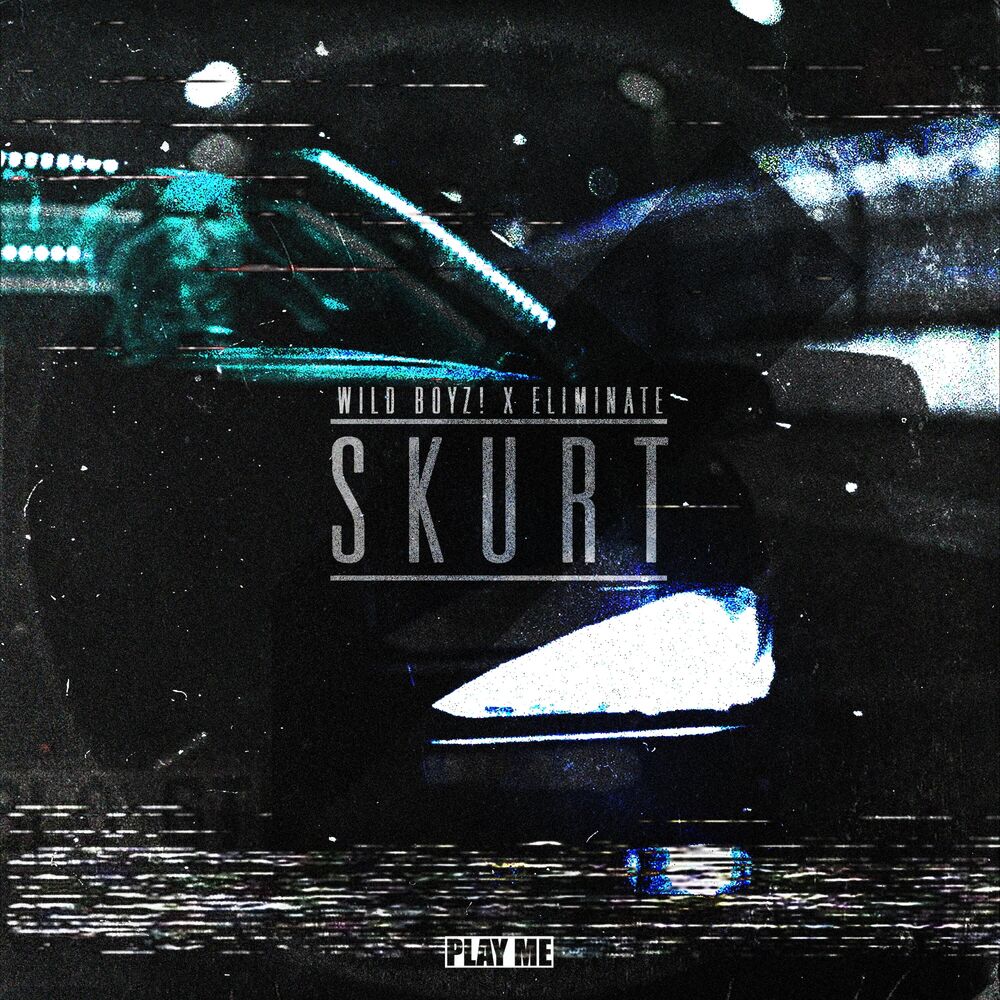 Picture of SKURT