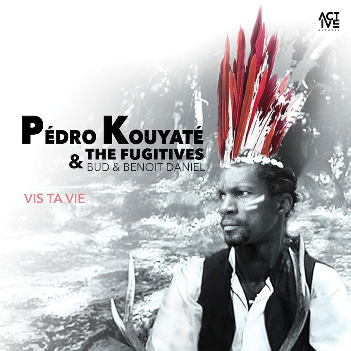 Album cover of Vis ta vie