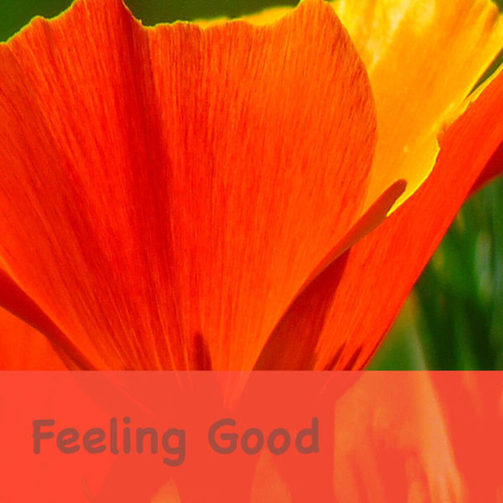 Picture of Feeling Good