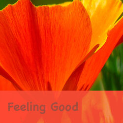 Cover of Feeling Good