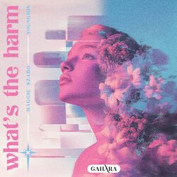 Cover of What's The Harm