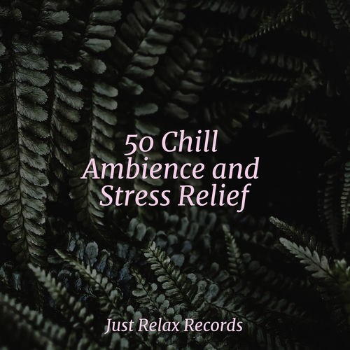 50 Chill Ambience and Stress Relief