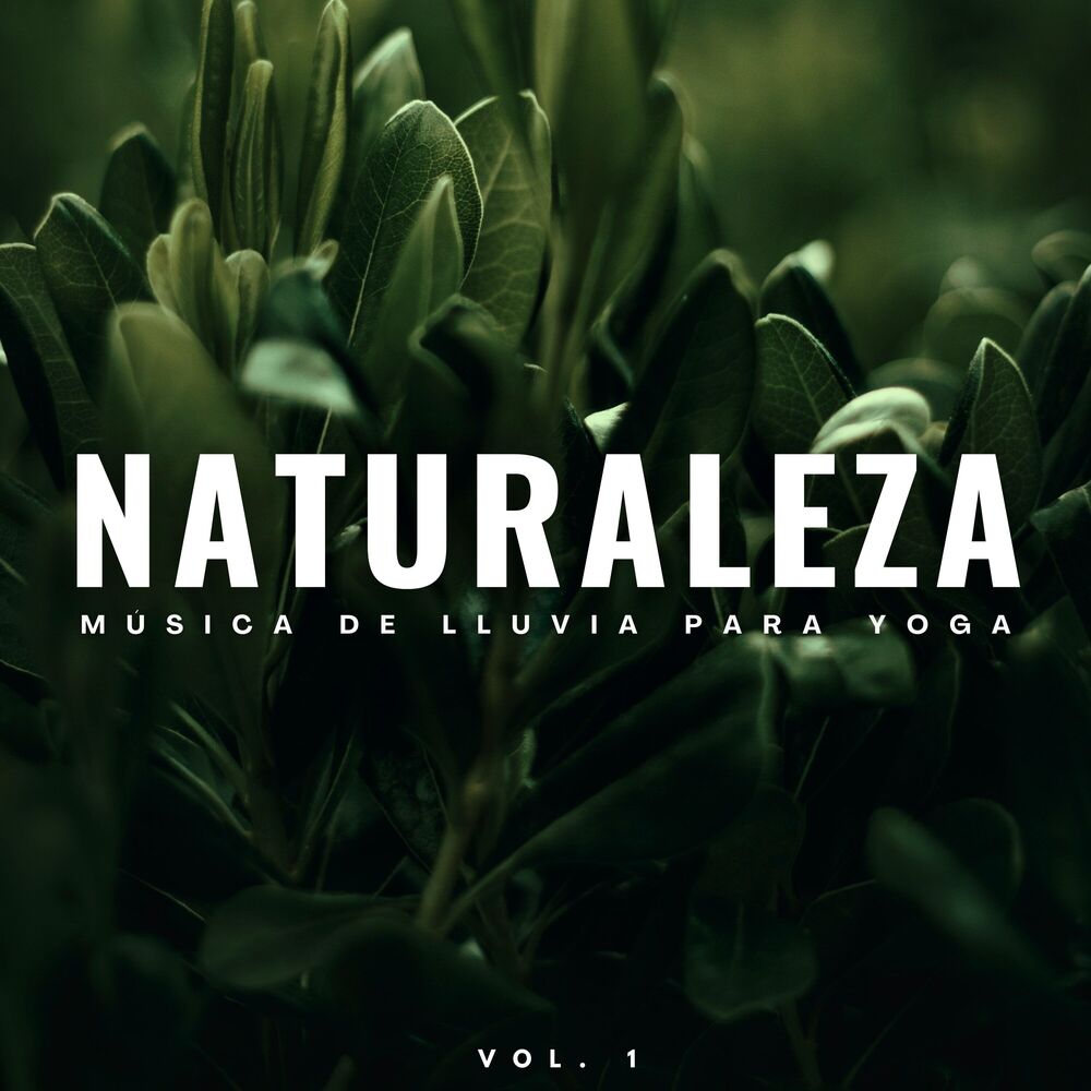 Picture of Naturaleza: Música De Lluvia Para Yoga Vol. 1