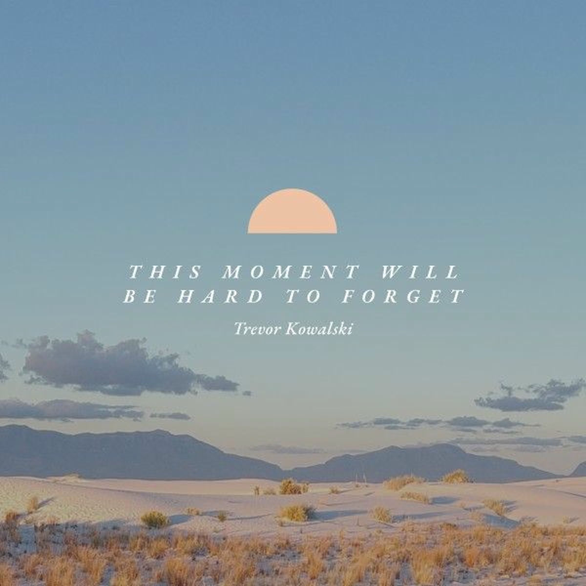 Album cover of This Moment Will Be Hard to Forget
