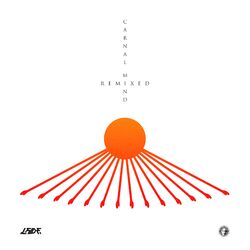 Cover of Carnal Mind Remixed